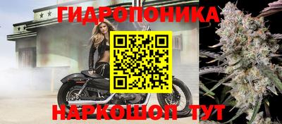 ГАЛЛЮЦИНОГЕННЫЕ ГРИБЫ Донской