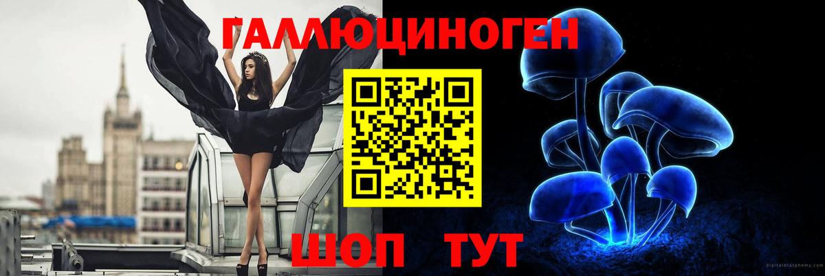 Галлюциногенные грибы Cubensis Дзержинск